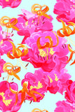 3 for $49! Sweet Illusion Melody Pink Chiffon Summer Dress - Women